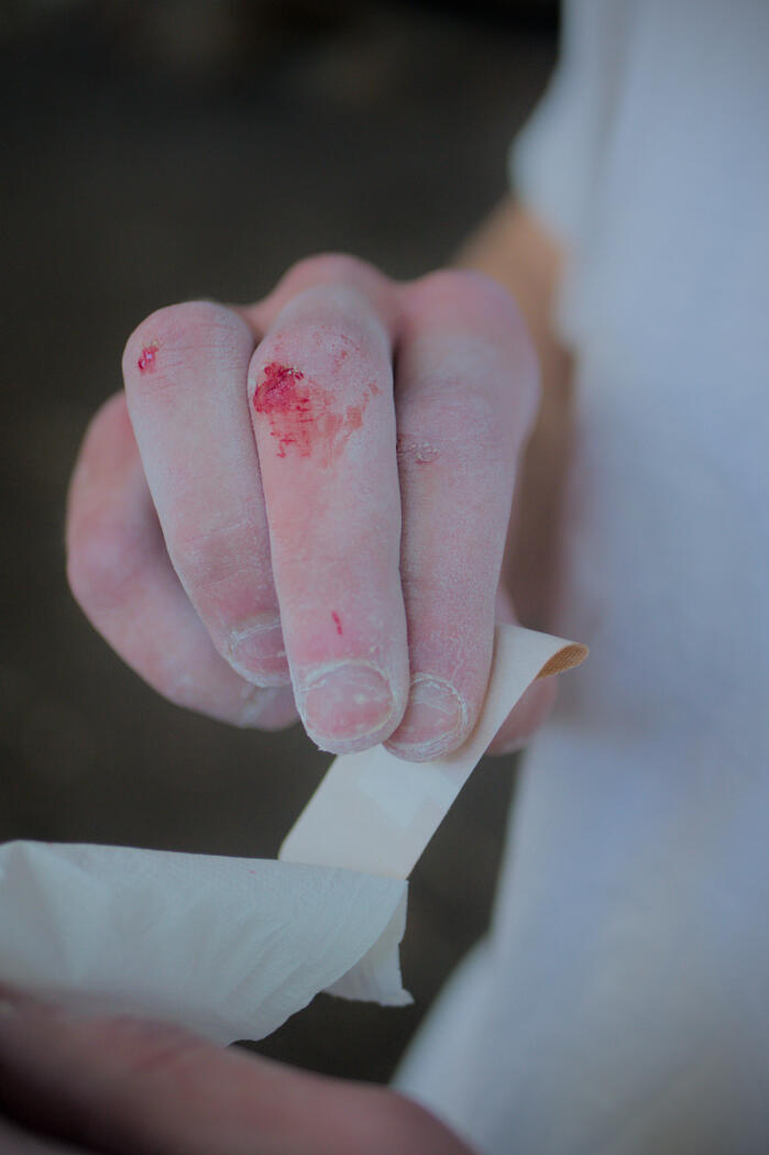 Harry Hand Harry Hand