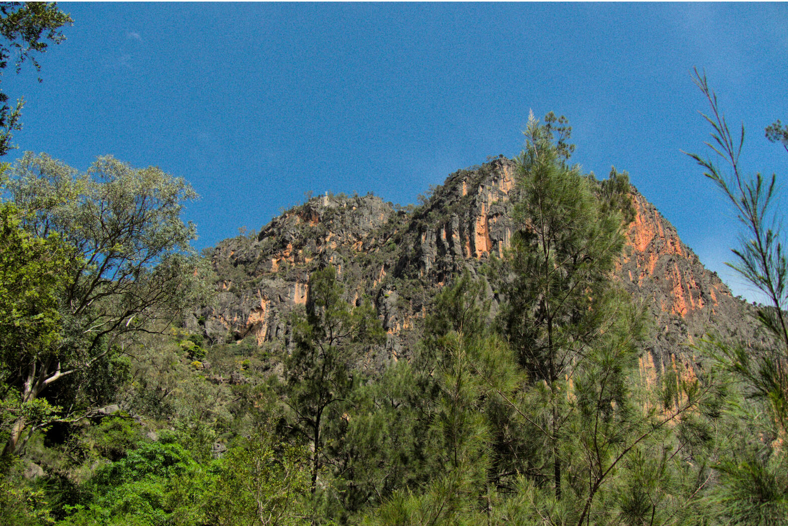 Bungonia 2025