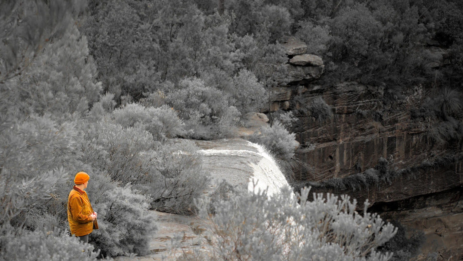 Untitled Untitled